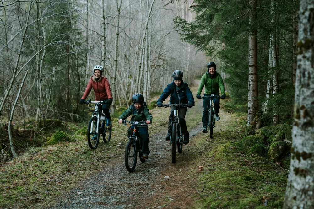 Familie på 4 sykler på en skogsvei