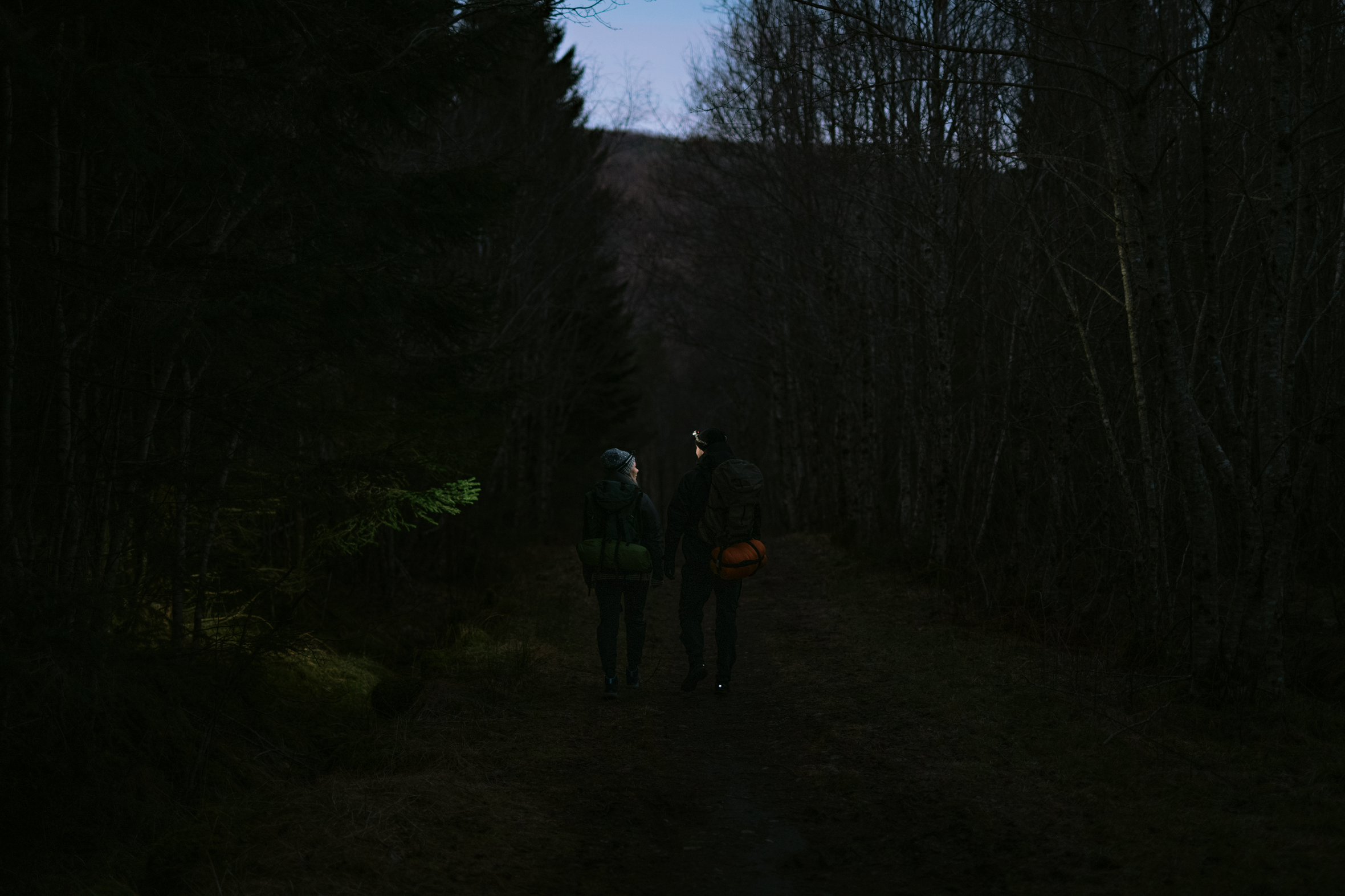 Mann og dame som går med hodelykter gjennom skogen ved skumring.